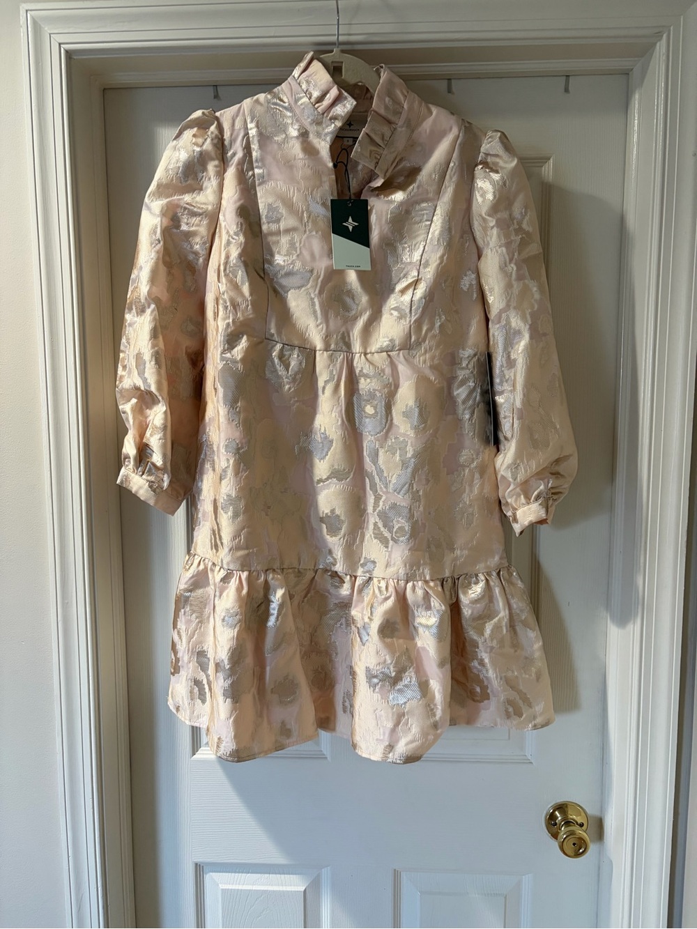 Tuckernuck Cream Metallic Brocade Puff-Sleeve Mini Dress with Ruffle Hem - Picture 4 of 4